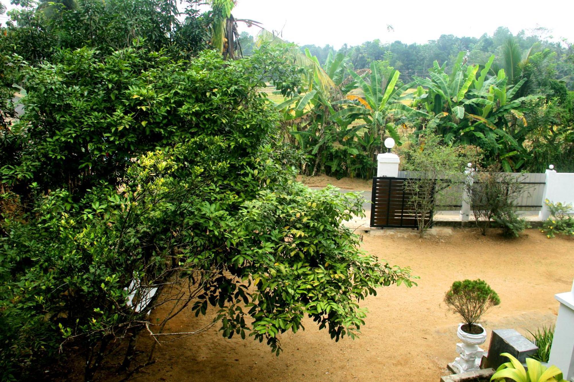 The Breeze Pinnawala Pinnawala  Exterior photo