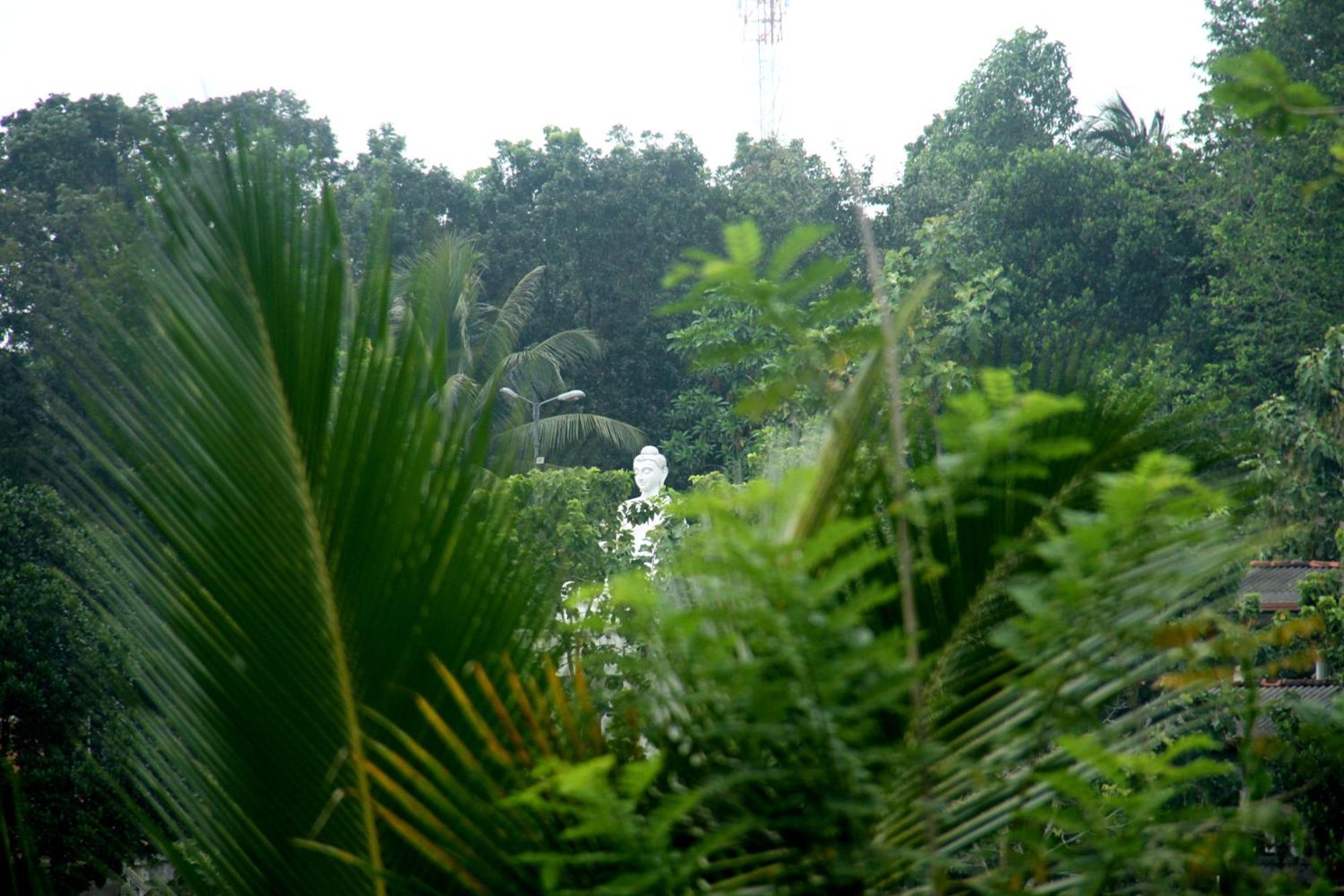 The Breeze Pinnawala Pinnawala  Exterior photo